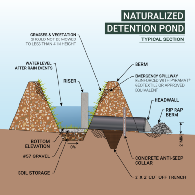 Discover the heart of the naturalized detention pond, a crucial element of sustainable water management