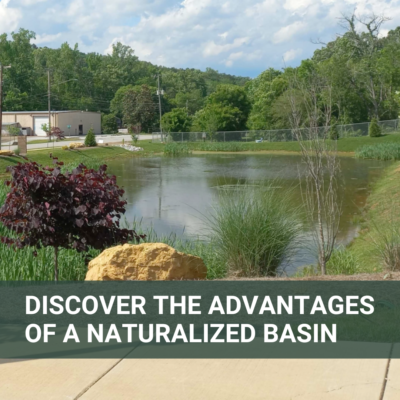 Discover the Advantages of a Naturalized Basin
