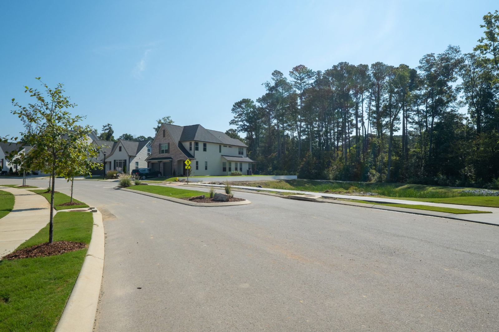 Neighborhood street beside a planted stormwater channel
