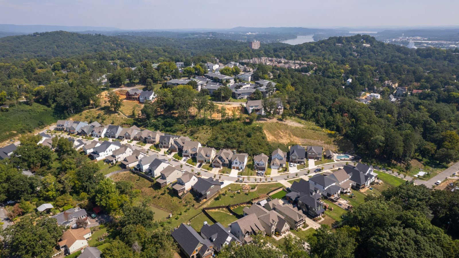 Aerial view of the Northshore Heights street, homes and surrounding tree canopy