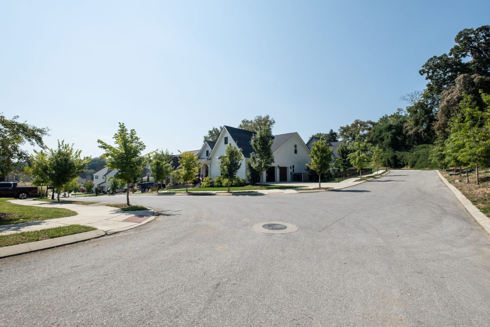 Street-level view down the neighborhood street with young shade trees