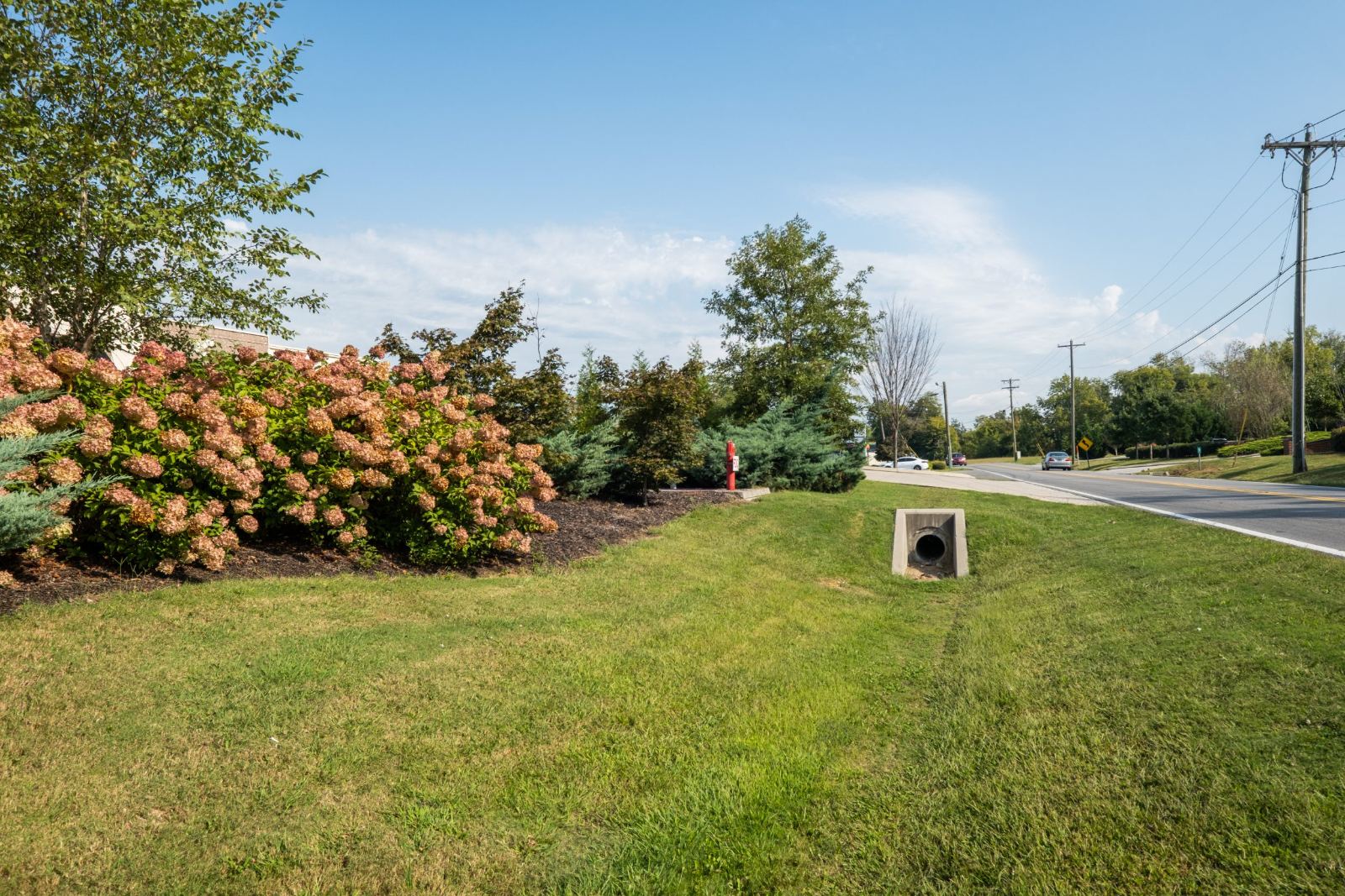 Culvert and grassed swale carrying water along the road edge
